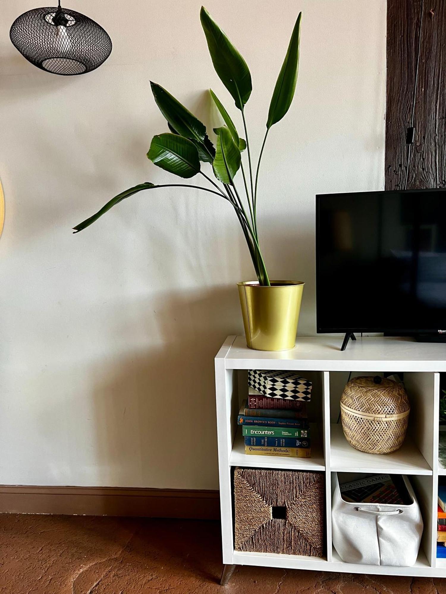 420 Friendly Boho Loft Downtown King Suite Free Parking Detroit Ngoại thất bức ảnh